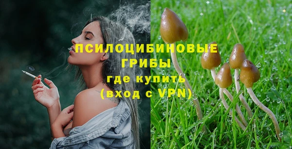 mdpv Алзамай